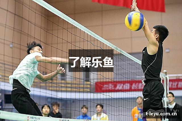 了解乐鱼
